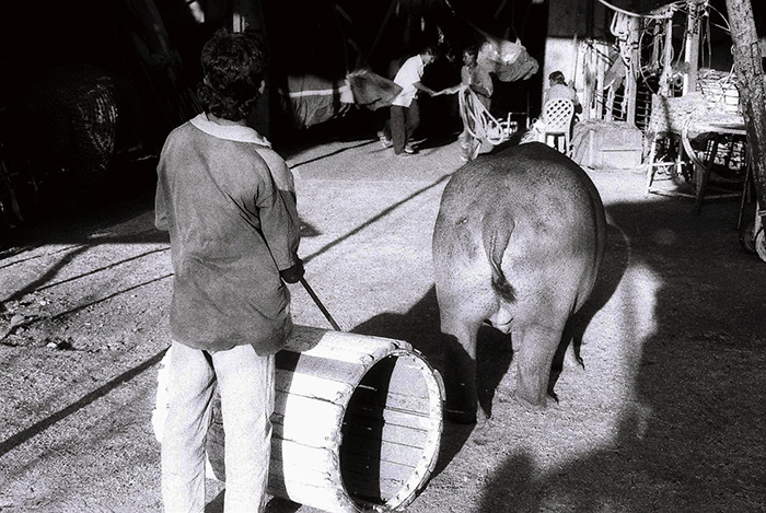 Gemini Circus Tirunelveli, photographs shot by Indian Photographer RR Srinivasan