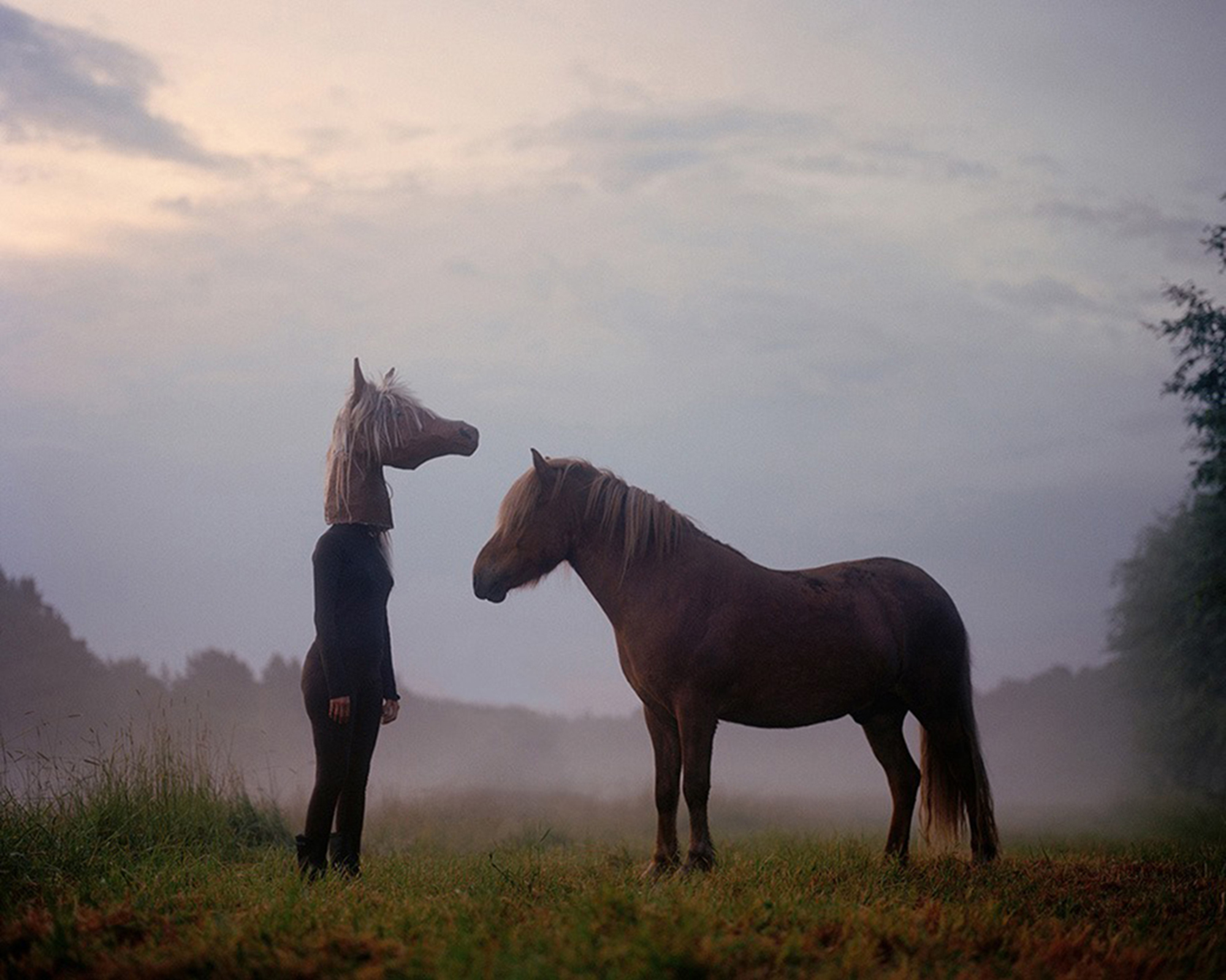 Mist (The Woman Who Married a Horse) © Wilma Hurskainen 2011