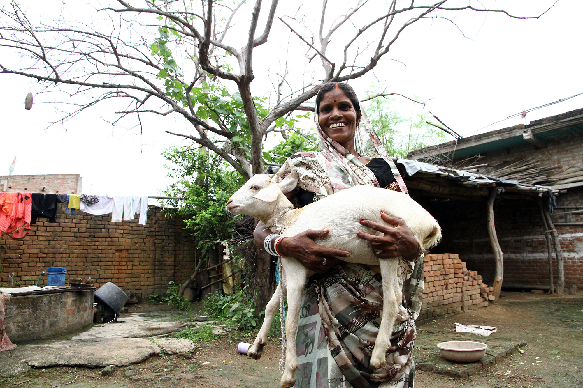 indian woman holding a goat, jharkhand