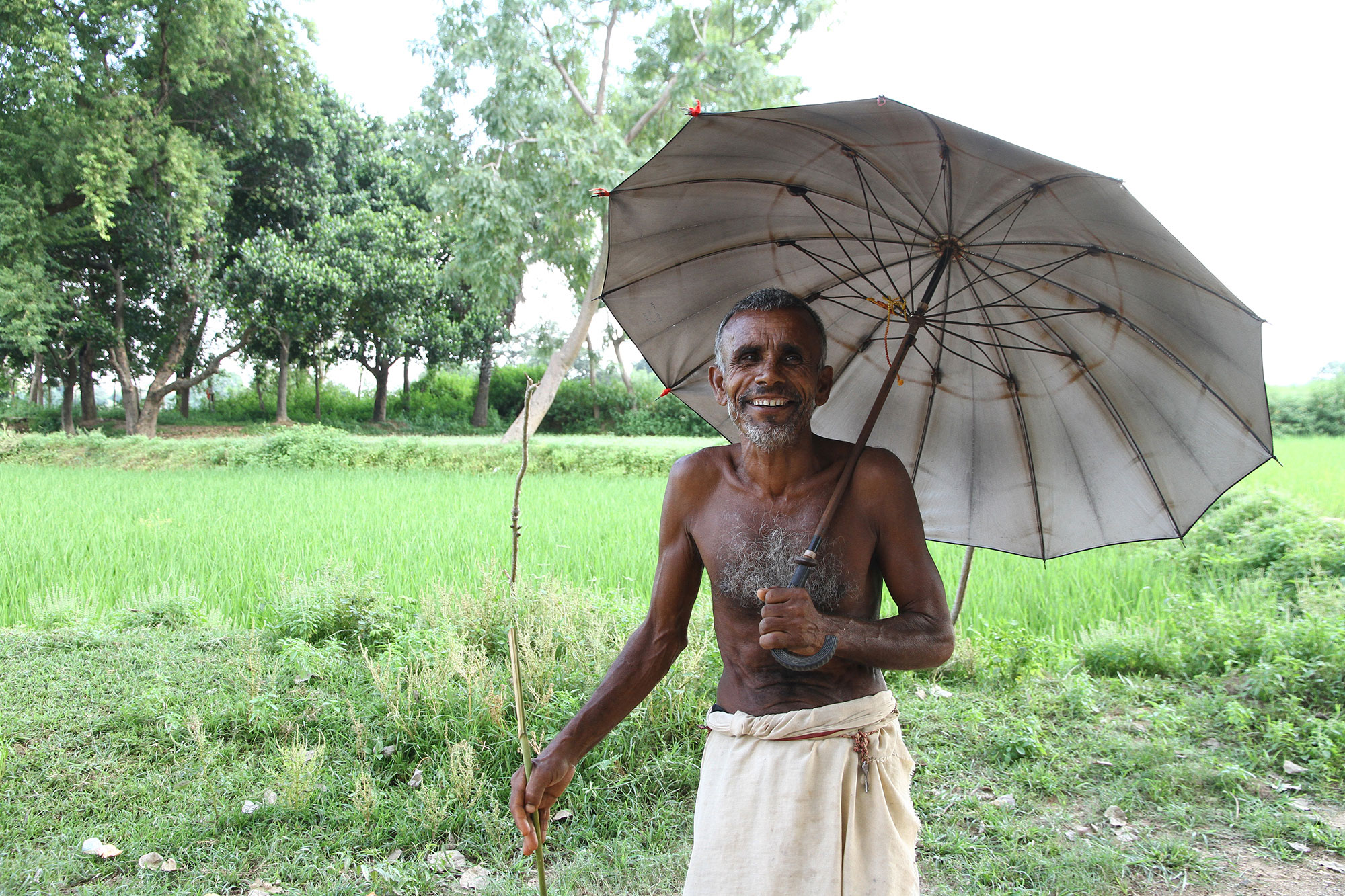 elderly man holding an umbrella, jharkhand