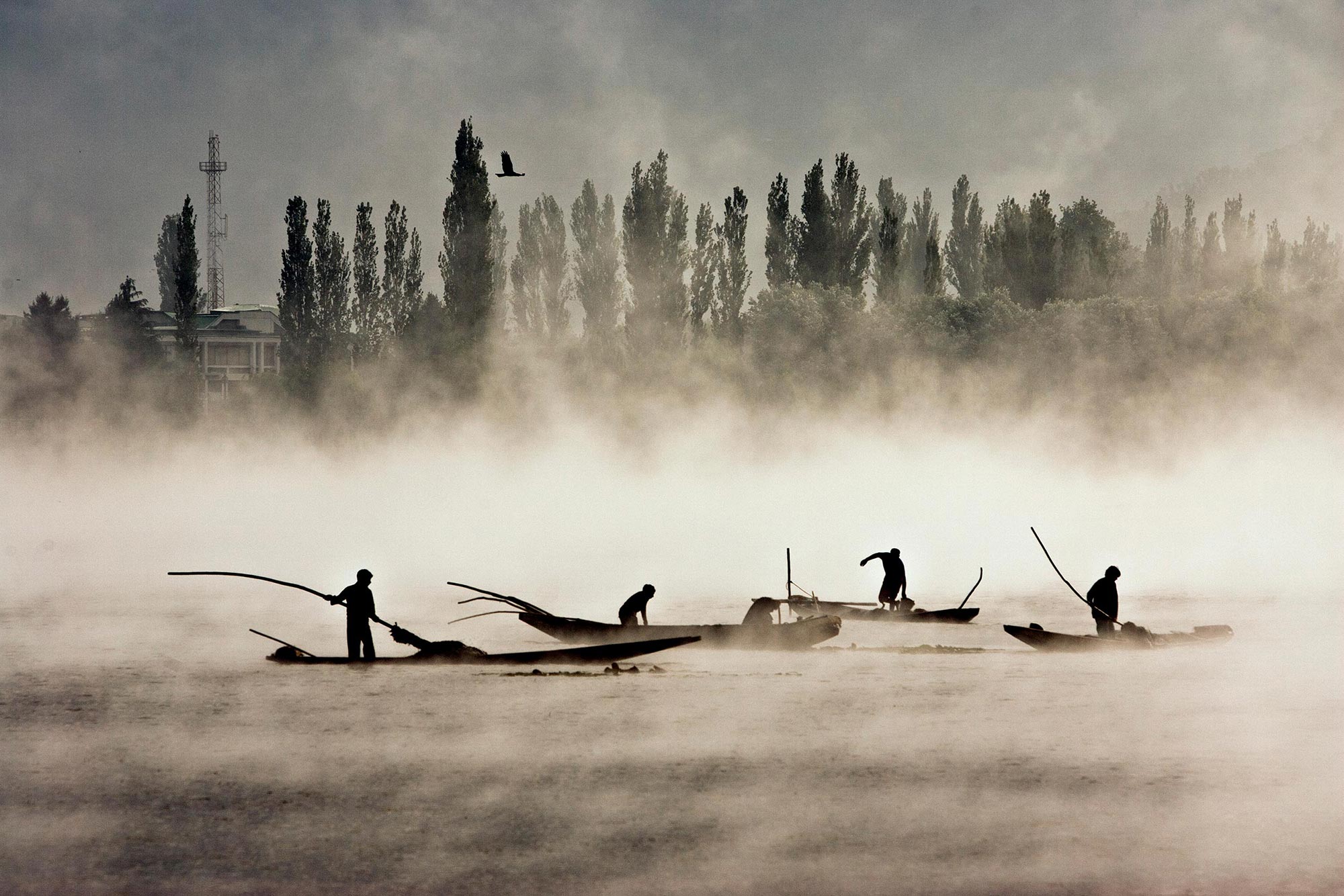 Dal Lake, Kashmir India (2008). Courtesy Shahidul Alam