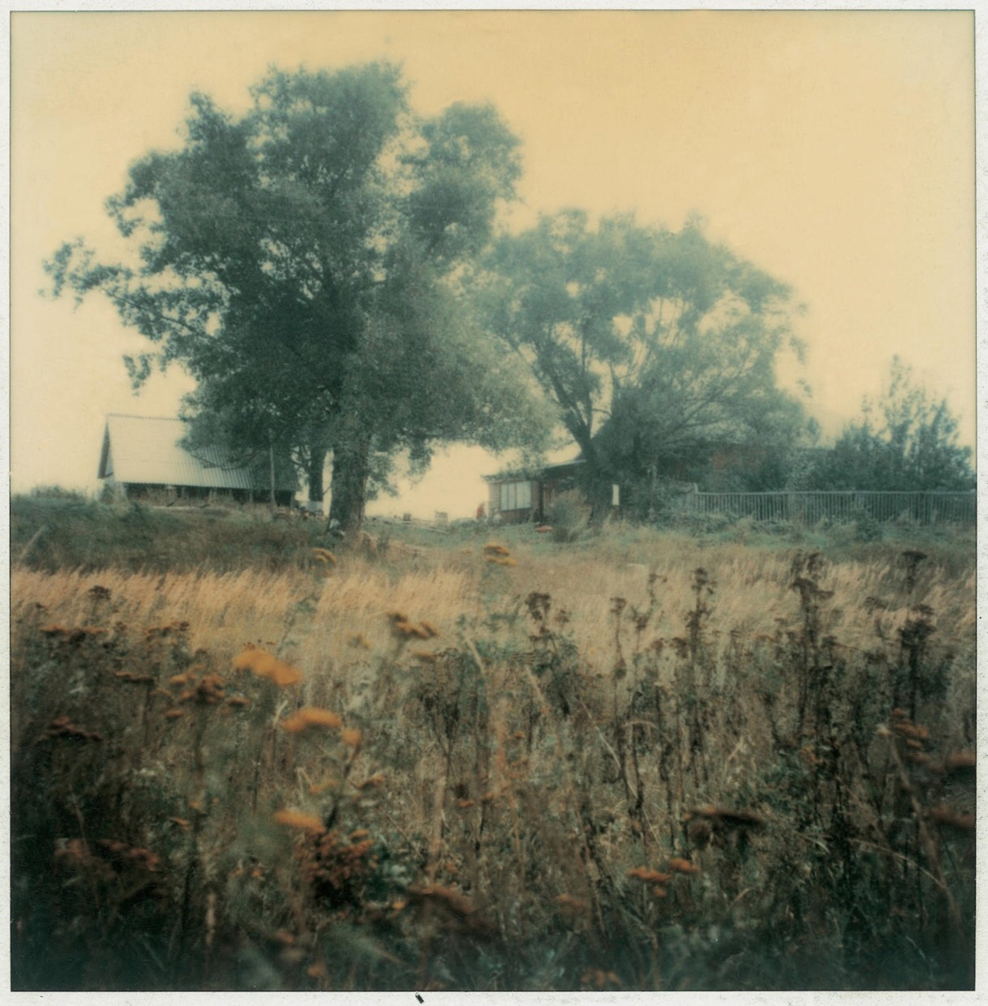 Andrei Tarkovsky's Polaroids‎